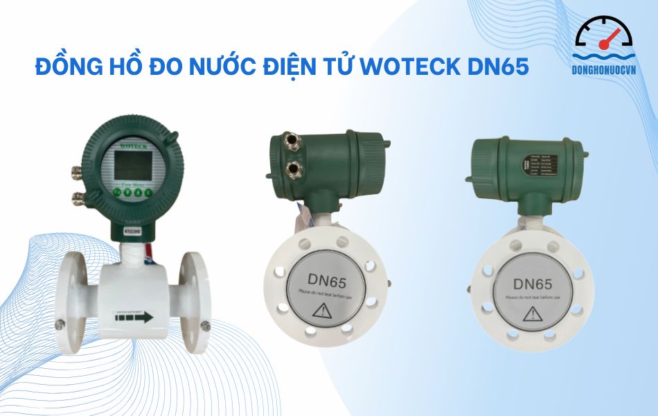 Giới thiệu về đồng hồ đo nước điện tử Woteck DN65