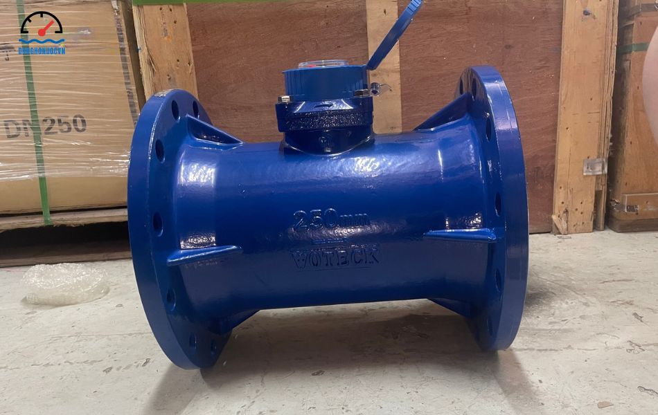 Đồng hồ nước Woteck DN250