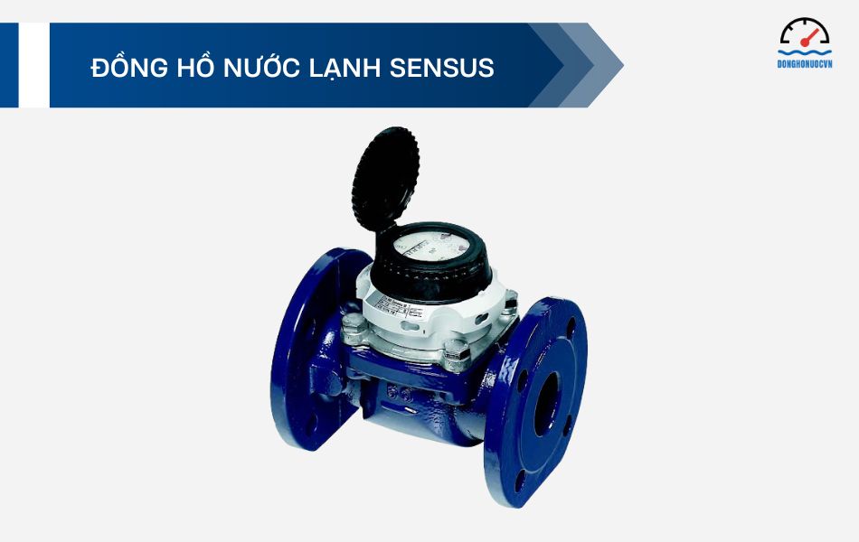Đồng hồ nước lạnh Sensus