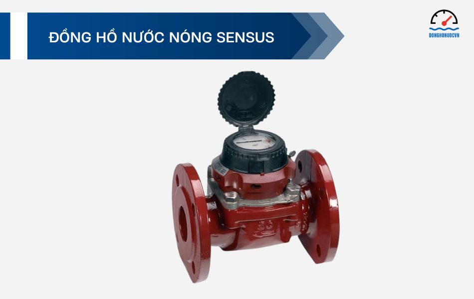 Đồng hồ nước nóng Sensus