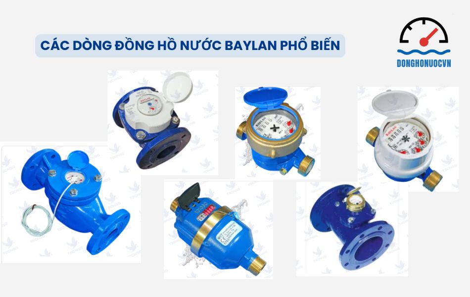 Các sản phẩm đồng hồ nước phổ biến của thương hiệu Baylan