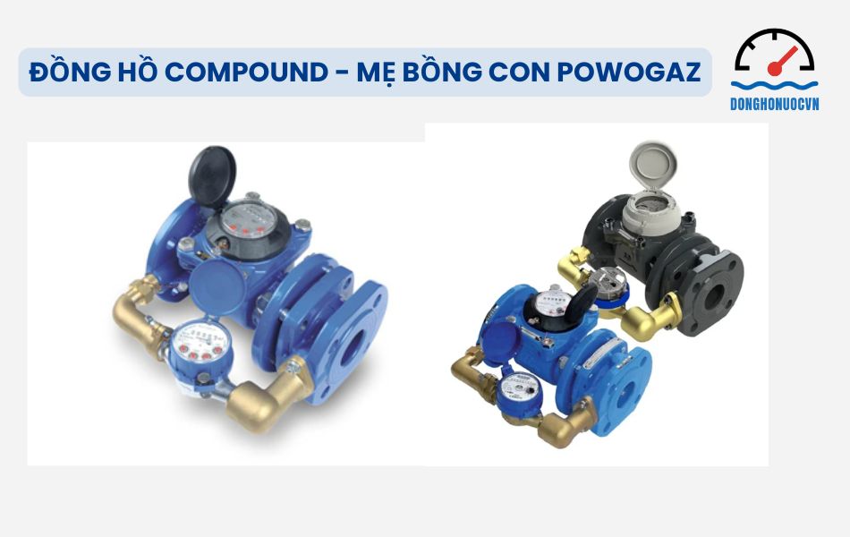 Đồng hồ nước mẹ bồng con Powogaz