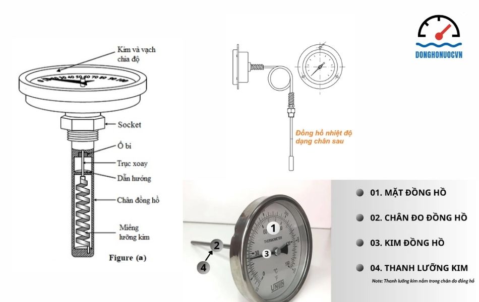 Các bộ phận cấu tạo cơ bản của đồng hồ đo nhiệt độ chân sau