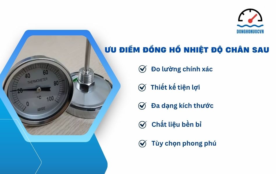 Đặc điểm nổi bật của dòng đồng hồ nhiệt độ chân sau