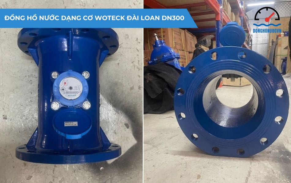 Giới thiệu về đồng hồ nước dạng cơ Woteck Đài Loan DN300