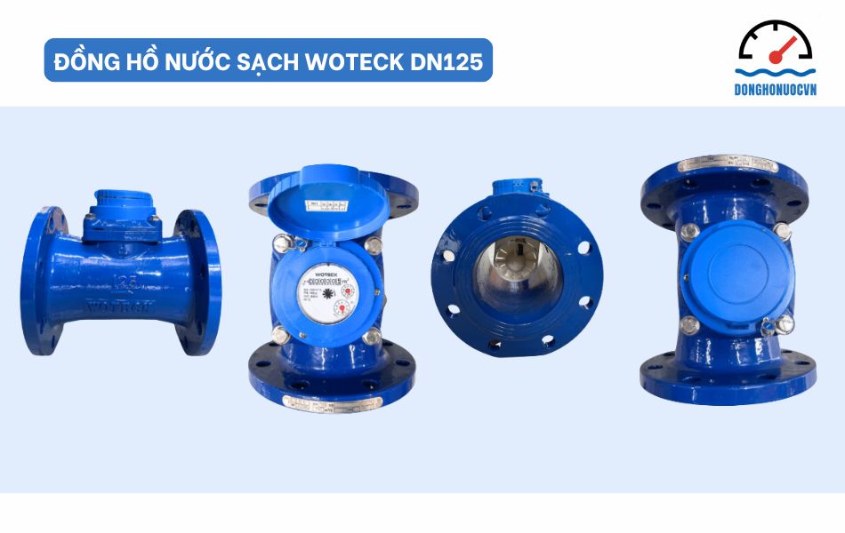 Đồng hồ nước dạng cơ Woteck Đài Loan DN125 - Model dùng cho nước sạch