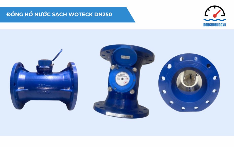 Đồng hồ nước sạch dạng cơ Woteck Đài Loan DN250 (Cấp B - Model LXLC)