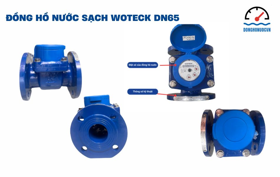Đồng hồ nước sạch dạng cơ Woteck Đài Loan DN65