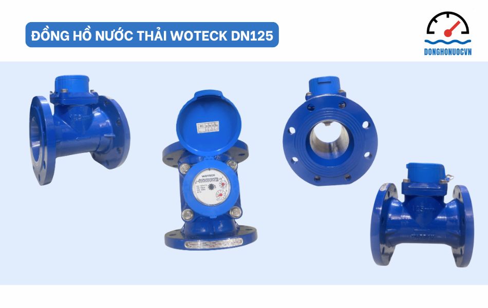 Đồng hồ nước dạng cơ Woteck Đài Loan DN125 - Model dùng cho nước thải
