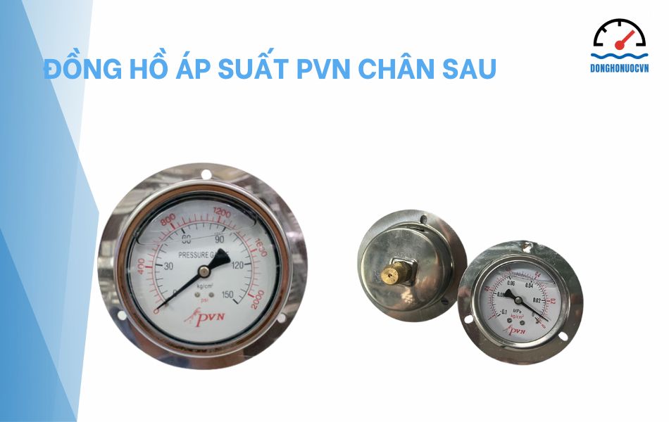 đồng hồ áp suất pvn chân sau