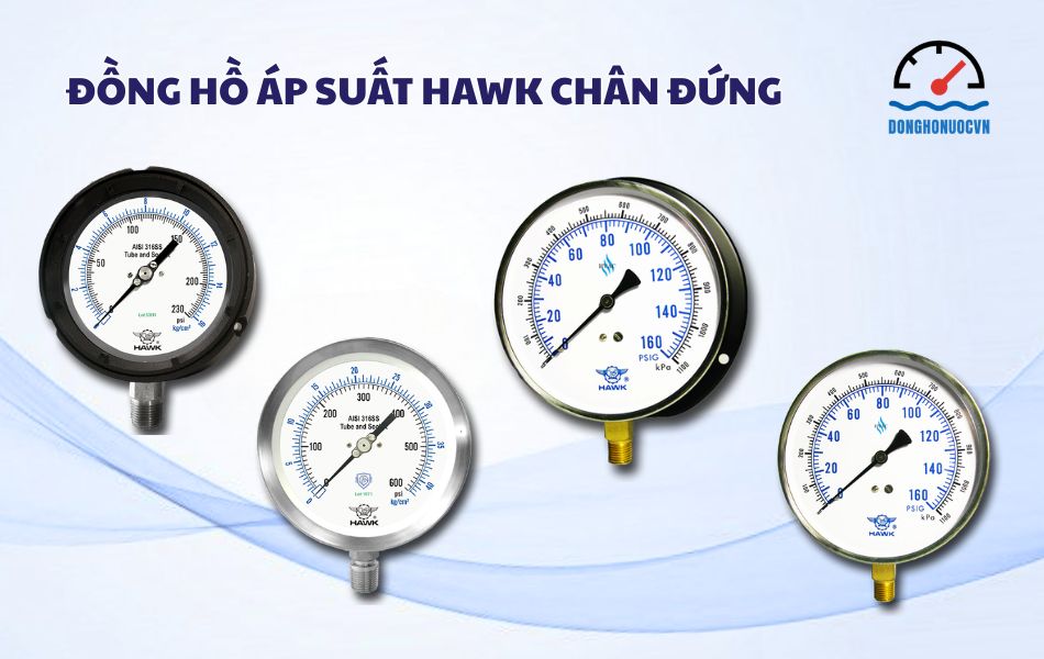 Đồng hồ áp suất Hawk chân đứng 