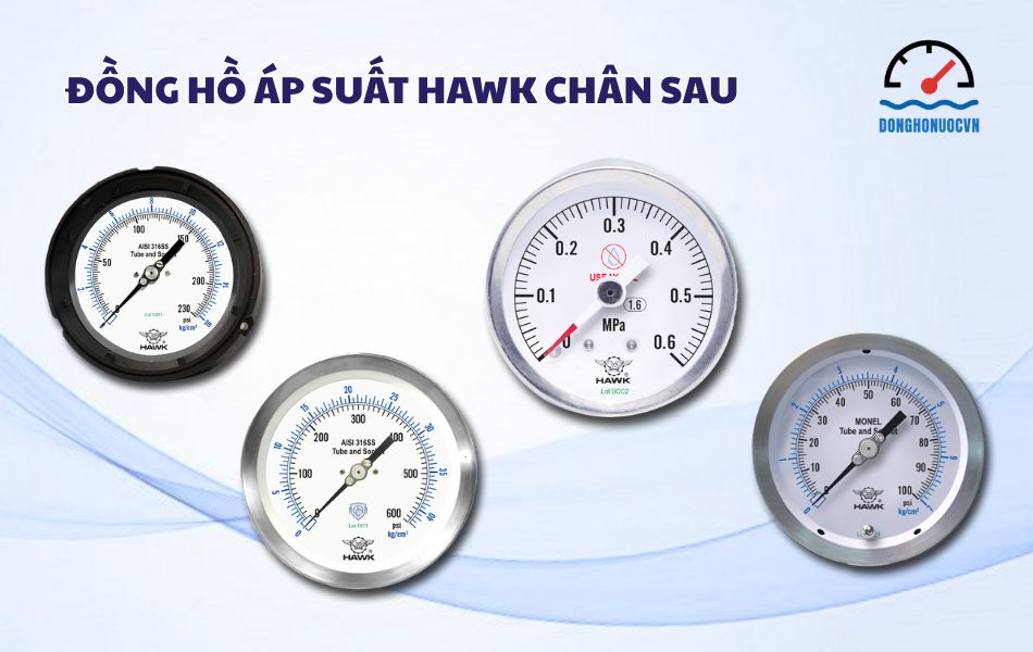 đồng hồ áp suất hawk chân sau