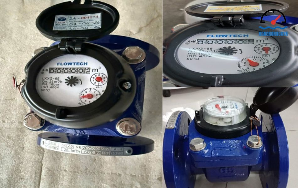 Đồng hồ đo nước thải Flowtech DN65 - LXXG-65