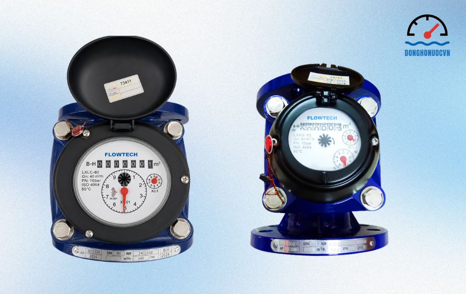 Giới thiệu về đồng hồ nước Flowtech DN80 