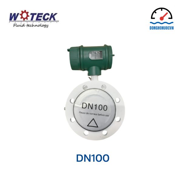 Đồng hồ đo nước điện tử Woteck DN100