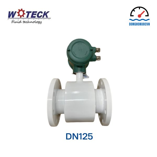 Đồng hồ đo nước điện tử Woteck DN125