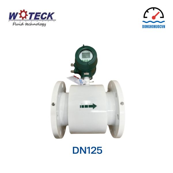 Đồng hồ đo nước điện tử Woteck DN125