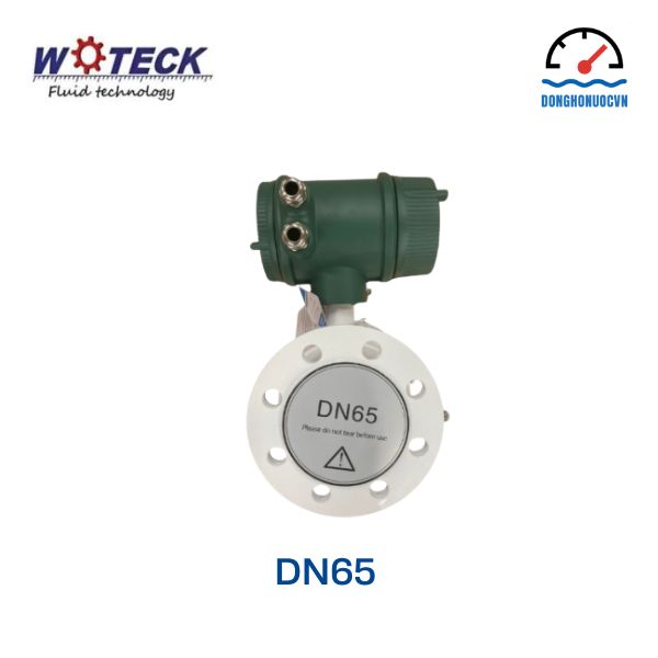 Đồng hồ đo nước điện tử Woteck DN65 mặt bên