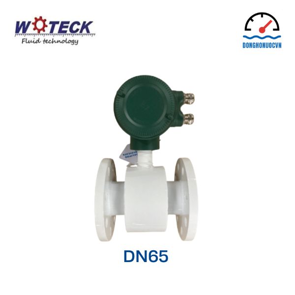 Đồng hồ đo nước điện tử Woteck DN65 mặt sau