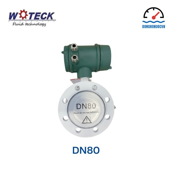 Đồng hồ đo nước điện tử Woteck DN80