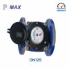 Đồng hồ nước dạng cơ Pmax DN125