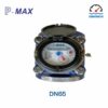 Đồng hồ nước dạng cơ Pmax DN65