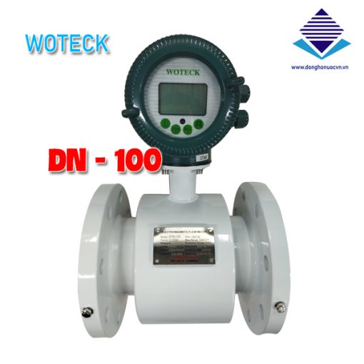 đồng hồ nước điện tử woteck dn100