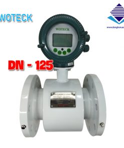 đồng hồ nước điện từ woteck dn125