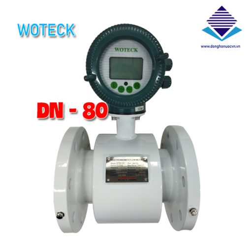 đồng hồ nước điện từ woteck dn80