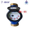 đồng hồ nước pmax dn65