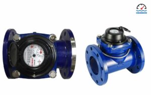 đồng hồ nước dn100