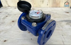 đồng hồ nước dn250