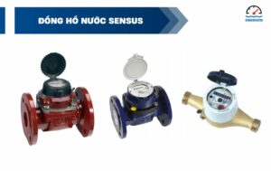 đồng hồ nước Sensus