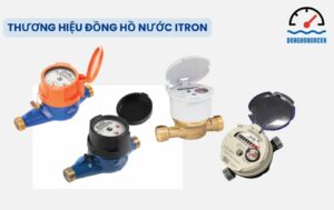 Giới thiệu về đồng hồ nước Itron