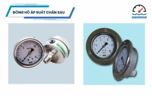 đồng hồ áp suất chân sau