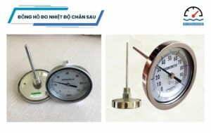 đồng hồ đo nhiệt độ chân sau
