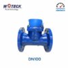 Đồng hồ nước dạng cơ Woteck Đài Loan DN100
