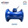 Đồng hồ nước dạng cơ Woteck Đài Loan DN250