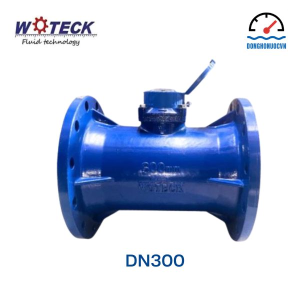 Đồng hồ nước dạng cơ Woteck Đài Loan DN300