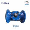 Đồng hồ nước dạng cơ Pmax DN250