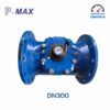 Đồng hồ nước dạng cơ Pmax DN300