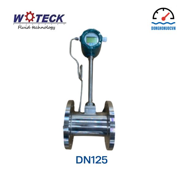 Đồng hồ đo lưu lượng hơi Woteck DN125
