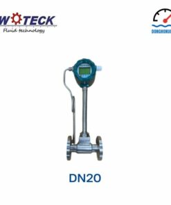 Đồng hồ đo lưu lượng hơi Woteck DN20