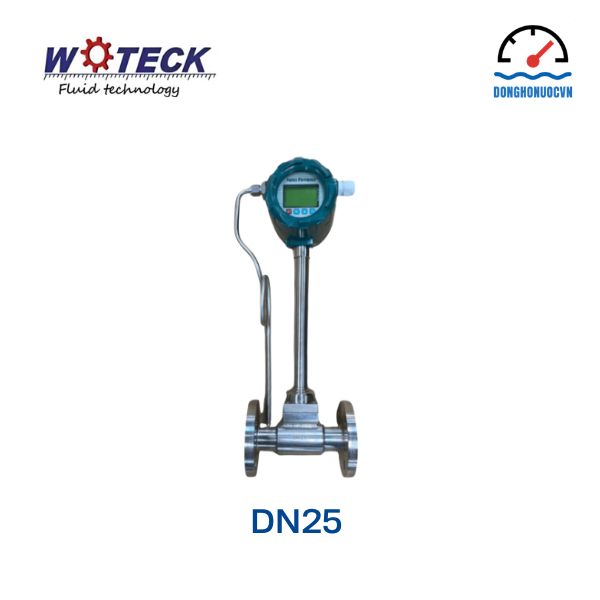 Đồng hồ đo lưu lượng hơi Woteck DN25