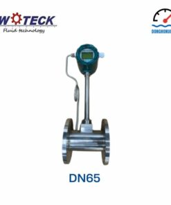 Đồng hồ đo lưu lượng hơi Woteck DN65