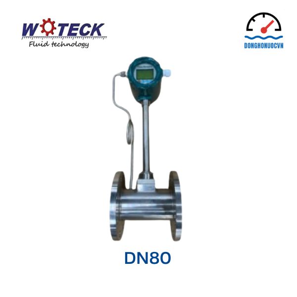 Đồng hồ đo lưu lượng hơi Woteck DN80