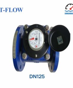 Đồng hồ nước T-Flow DN125