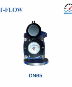 Đồng hồ nước T-Flow DN65
