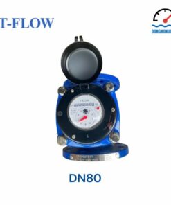 Đồng hồ nước T-Flow DN80
