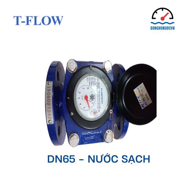 Đồng hồ nước Flowtech DN65 nước sạch
